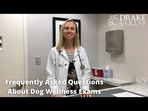 Frequently Asked Questions About Dog Wellness Exams