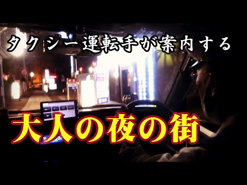 【Vlog】GoTo新潟旅行その②　夜の街をタクシーで観光　運転手による古町案内編