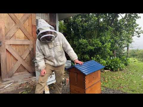 Tips & Tricks with the Flow Hive �