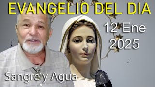 Evangelio Del Dia Hoy - Domingo 12 Enero 2025- Sangre y Agua