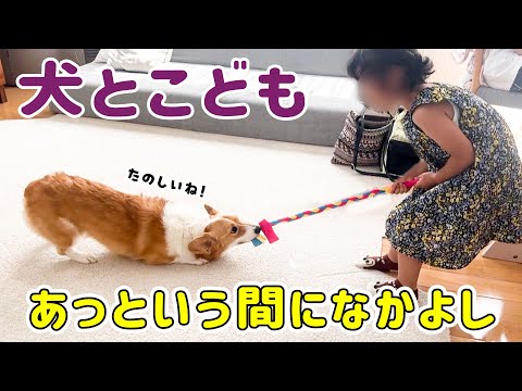 初めは緊張してたけど、すぐに仲良しになりました！【犬とこども】