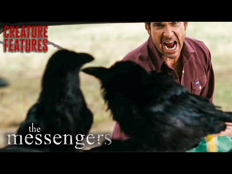 The Messengers | Not For Those Who Fear Crows! 🐦‍⬛ | Creature Features