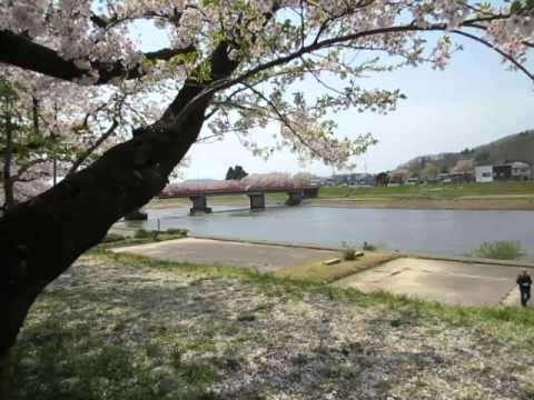 【角館・桧木内川の桜並木】