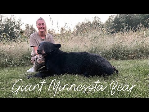 BIG MN BEAR!! First Bear Ever!