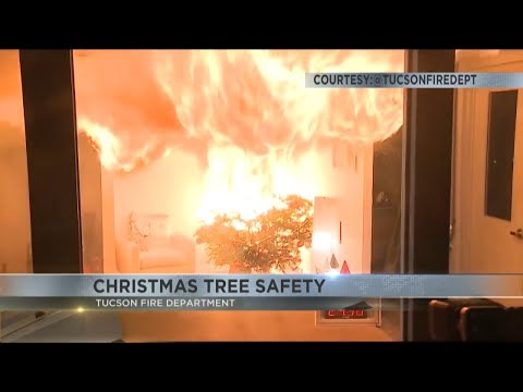 Tucson Fire Department warns of fire hazard posed by dry Christmas trees