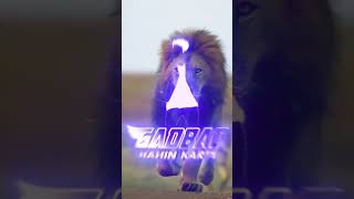 Lion Attitude shayari status Shayari status Attitude shayari #youtubeshorts#viral#shayari#shorts