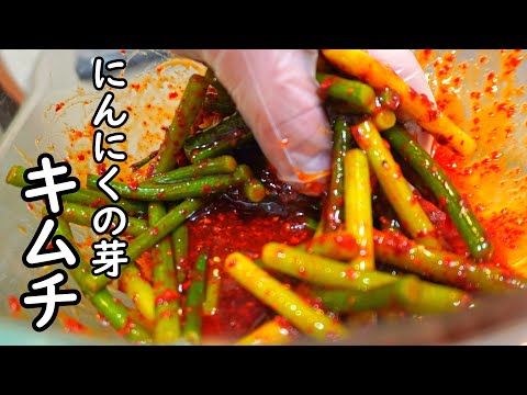 シャキシャキ食感がたまらない【ニンニクの芽キムチ】