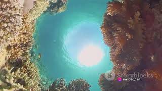 You Won't Believe This Hidden Gem I Discovering The Great Blue Hole – Belize