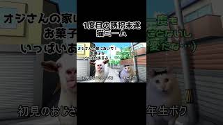 人生に3回誘拐未遂に遭っているVtuber #vtuber #猫ミーム