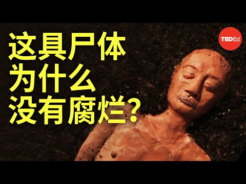 这具2000年前的尸体为什么没有腐烂？- Carolyn Marshall