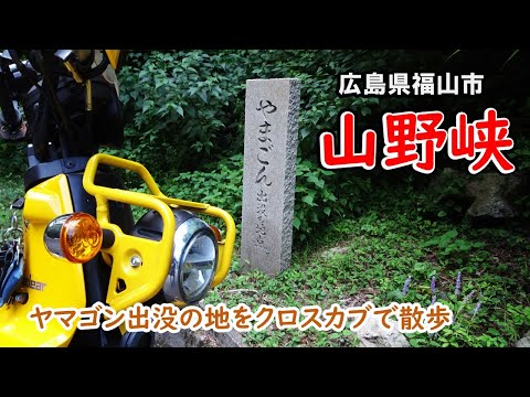 真夏なんで涼しい所を歩きます【山野峡】