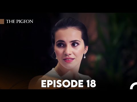 The Pigeon Episode 18 (FULL HD)