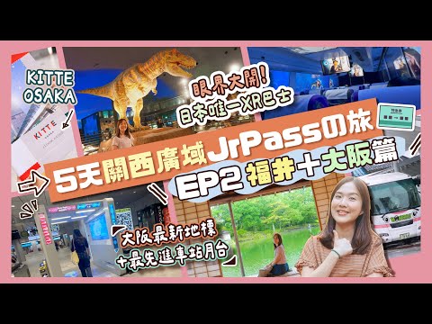 【JR西日本】5天關西廣域JrPassの旅 EP2「福井＋大阪篇」體驗日本唯一XR巴士🤩＋大阪最新地標KITTE OSAKA