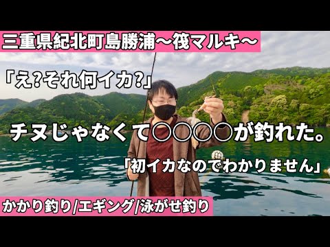 【かかり釣り】三重県紀北町でオススメな筏釣りスポット