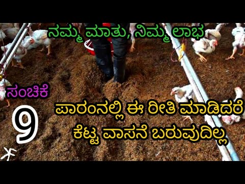 ಕೋಳಿಗಳು ಬಂದ 4ನೇ ವಾರ || ಸಂಚಿಕೆ - 09 || poultry farm 4th week || Episode - 09 ||