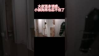 【BL】大叔湿身诱惑，小狼狗再也忍不住了丨history3那一天 #耽美 #男男 #同志 #kiss