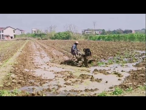 Very practical field tillage machine