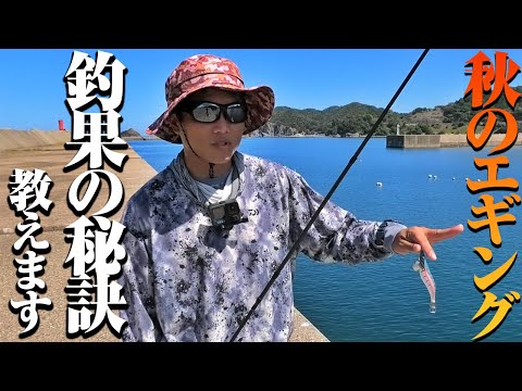 釣れない…と悩む前に実践して欲しいエギングの秘訣！実は僕たち、こんな感じで秋のエギング楽しんでます。