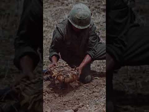 What Were The Terrifying Punji Traps of the Viet Cong?