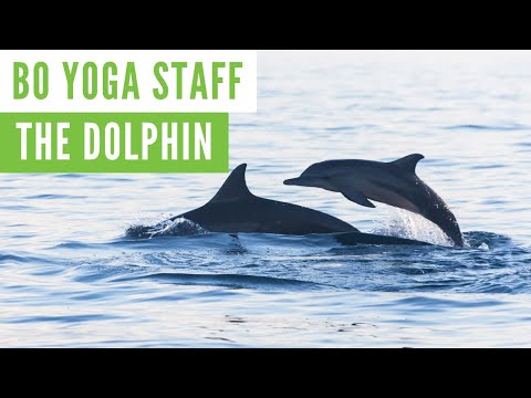 The Dolphin with Bo Yoga Staff