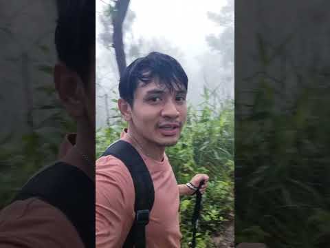 ภูสอยดาว กับวันที่ฝนตกแบบฉ่ำ #shorts #travel #amazingthailand #camping #shortvideo