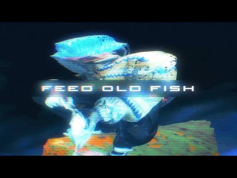 Knoir - FEED OLD FISH