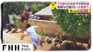 17歳の少女がクマを撃退　勇敢な行動 飼い犬を救う　アメリカ