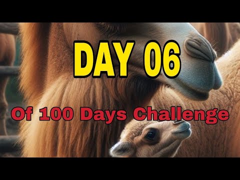 #6/100 days challenge😌.#trending #though #motivation #motovlogger #Karnataka #hassan #ka13