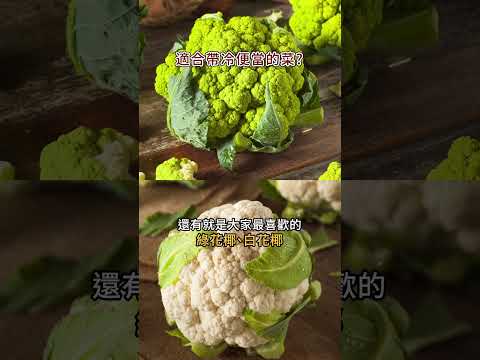 什麼菜適合帶冷便當？