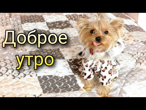 🌸Доброе утро🌸 Музыкальная открытка