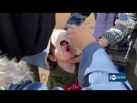 Polio vaccination campaign begins in 11 Afghan provinces | آغاز کمپاین واکسین پولیو در ۱۱ ولایت کشور