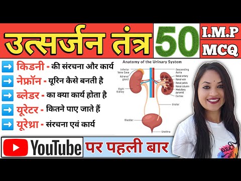 Urinary System in Hindi | उत्सर्जन तंत्र | Excretory System | Nephron | Structure of Kidney | MCQ