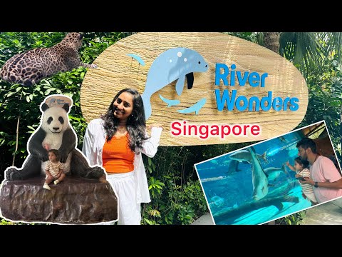 ಇದಕ್ಕೆ ಇಷ್ಟ್ height ಅಂತ ಇರ್ಬೇಕು ಇಲ್ಲ ಅಂದ್ರೆ ಬಿಡೋಲ್ಲ River wonders Singapore | 🐼 panda gaint fish