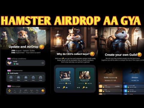 Hamster Combat: The Airdrop Update