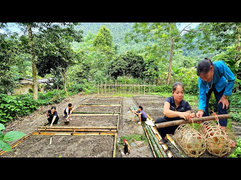 Renovate The Vegetable Garden - Go To The Market To Sell Chickens - Rescue Abandoned Puppies