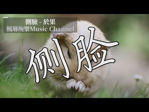 側臉 - 於果【中文音樂】【動態歌詞】Lyrics【無損音質】