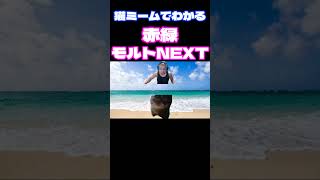 【デュエマ環境デッキ】猫ミームでわかる赤緑モルトNEXT（デュエプレ対応版）#猫ミーム　#デュエマ