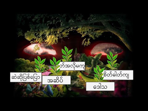 ဉာဏ်ရည် ထက်မြက်စေတဲ့နည်းလမ်း အပိုင်း (၉), Meditation for Brain ဉာဏ်ကောင်းအောင် တရားထိုင်ခြင်း