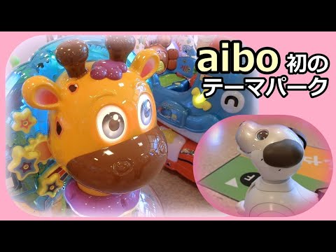 【48 アイボ ルー 初のテーマパーク】Aibo Lou goes to the theme park for the first time