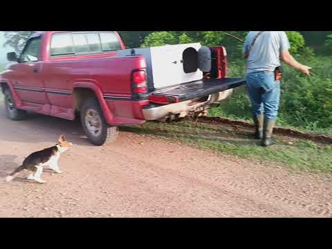 Dry Creek Hunting Dogs Rabbit Hunting May 27 2024