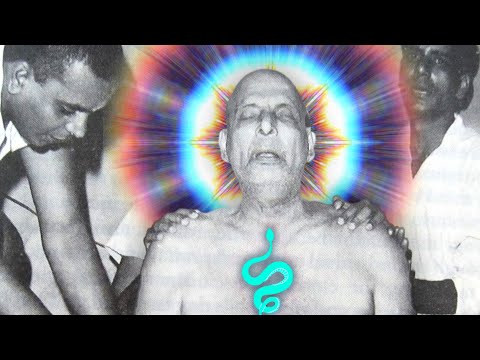 Swami Sivananda | Beyond Maha-Samadhi and Miracles | Documentary