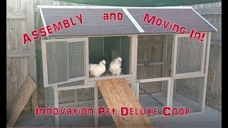 Innovation Pet Chicken Coop - Assembly and Moving In the Silkies!