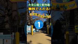 ちょっぴり大人な大宮デートスポット3選#おすすめスポット #デートスポット #大宮　みんなはどこに行ってみたい？