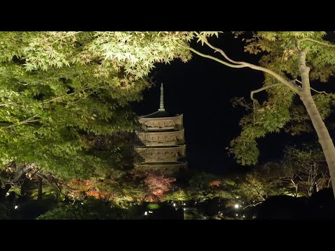 秋の京都・奈良・滋賀観光 part1（ 錦市場～東福寺～伏見稲荷～東寺）