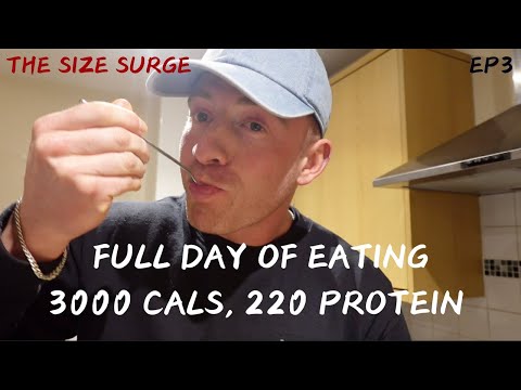 EP 3, Full Day Of Eating To Build Muscle, 3000 Cals & 220g Protein, Macro Tracking Edition