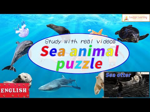 [English] Sea animals Flashcard video for kid Toddler Baby