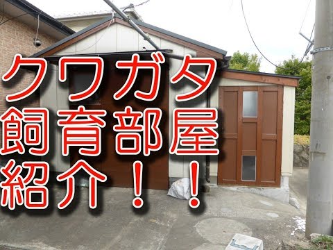 DIYで増築！素人が１人でクワガタ飼育部屋を製作！