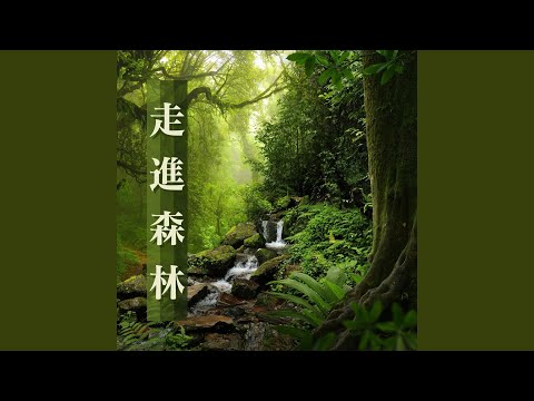 暴风雨过后的平静