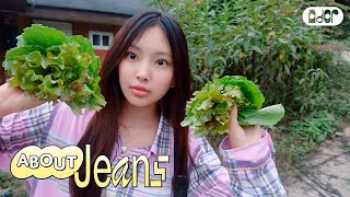 [About Jeans] 오늘을, 기록혠 2 ⊹ 시골에 간 혠스터의 오늘 | HYEIN vlog