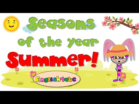 Summer! / Seasons of the Year / Phonics Mix!